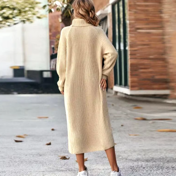 Elora | Chic winter dress